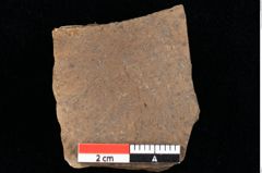 Foto (Detailansicht) von Enteromorpha stagnalis Heer (NHMW-GEO-2024-0188-0093)